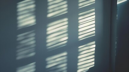 window light on wall: Daylight on wallwindow light on wall: Sunlight on wall