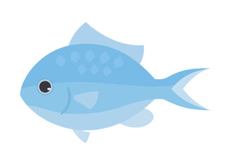 アオバスズメダイのイラスト