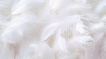 Soft White Feathers Gently Swaying