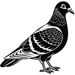 Obraz premium Pigeon Metal Wall Art, Metal Wall Sculpture, vector black color silhouette