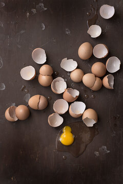 Egg shell and a yolk 