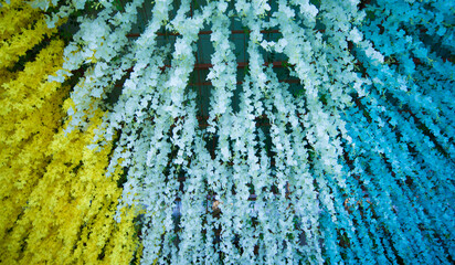 Colorful flower and beautiful decoration for the place