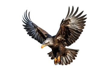 Fototapeta premium I Love Eagle (JPG 300Dpi 10800x7200)