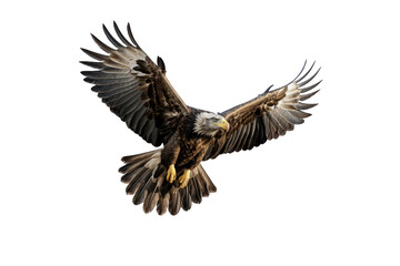 Obraz premium I Love Eagle (JPG 300Dpi 10800x7200)