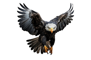 Obraz premium I Love Eagle (JPG 300Dpi 10800x7200)