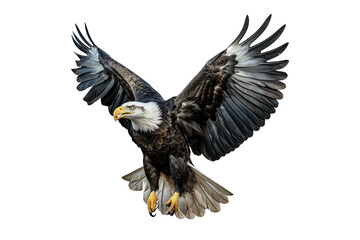 Fototapeta premium I Love Eagle (JPG 300Dpi 10800x7200)