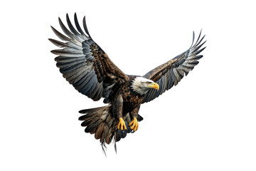 Obraz premium I Love Eagle (JPG 300Dpi 10800x7200)