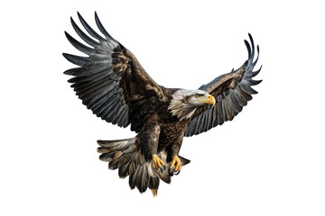 Obraz premium I Love Eagle (JPG 300Dpi 10800x7200)