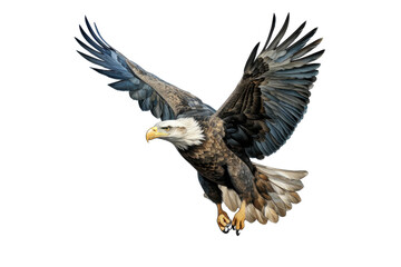Obraz premium I Love Eagle (JPG 300Dpi 10800x7200)