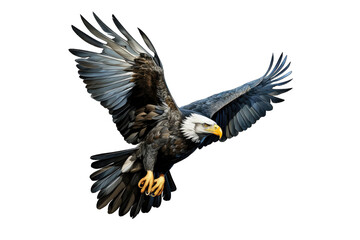 Obraz premium I Love Eagle (JPG 300Dpi 10800x7200)