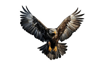 Obraz premium I Love Eagle (JPG 300Dpi 10800x7200)