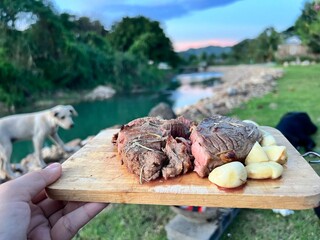 picnic in the forest