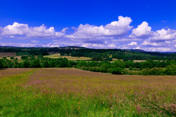 View of wildflower meadowland in front of Ogston Hall, Debyshire.