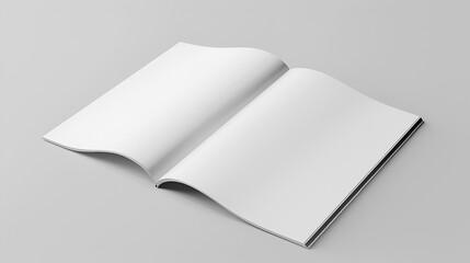 Blank pages of a book