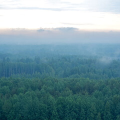 Aerial view of misty forest in the morning at sunrise