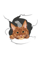 Ginger cat and grey mouse peeks through a broken wall