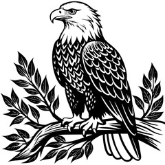bald-eagle-sitting-on-a-tree-branch