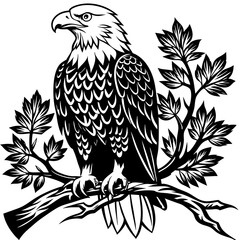 bald-eagle-sitting-on-a-tree-branch