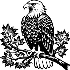 bald-eagle-sitting-on-a-tree-branch