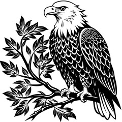 bald-eagle-sitting-on-a-tree-branch