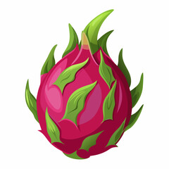 A lotus flower illustration vector logo icons.