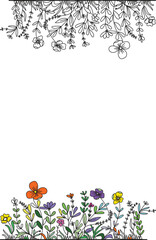 Isolated Colorful Line Frame Icon Leaf Floral Border Divider with Circular, rectangle or hexagon pink or red flower for save the date wedding tag name invitation vector 