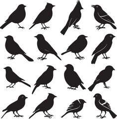 Collection of Black Bird Silhouettes: Vector Design Elements