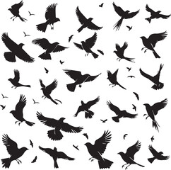 Obraz premium Collection of Black Bird Silhouettes: Vector Design Elements