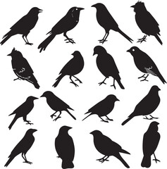 Collection of Black Bird Silhouettes: Vector Design Elements