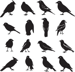 Collection of Black Bird Silhouettes: Vector Design Elements