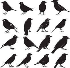 Collection of Black Bird Silhouettes: Vector Design Elements