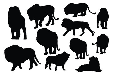 Lion Silhouettes Vector set Illustration, high-quality vector illustration of a bunch of lion silhouettes on a white background.  