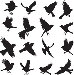 Collection of Black Bird Silhouettes: Vector Design Elements