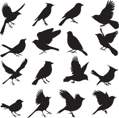 Collection of Black Bird Silhouettes: Vector Design Elements