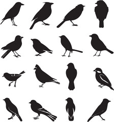 Collection of Black Bird Silhouettes: Vector Design Elements