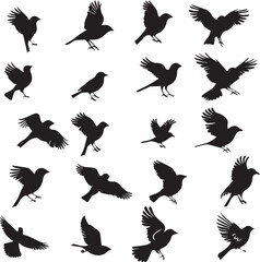 Collection of Black Bird Silhouettes: Vector Design Elements