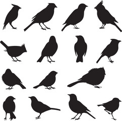 Collection of Black Bird Silhouettes: Vector Design Elements