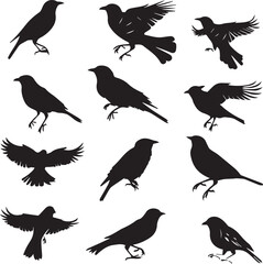 Collection of Black Bird Silhouettes: Vector Design Elements