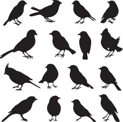 Collection of Black Bird Silhouettes: Vector Design Elements