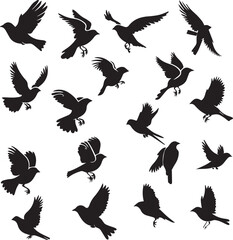 Fototapeta premium Collection of Black Bird Silhouettes: Vector Design Elements
