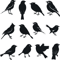 Collection of Black Bird Silhouettes: Vector Design Elements