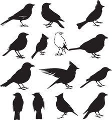 Collection of Black Bird Silhouettes: Vector Design Elements