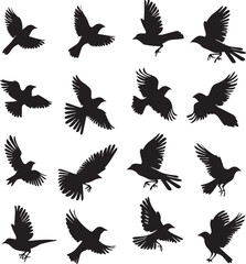 Collection of Black Bird Silhouettes: Vector Design Elements