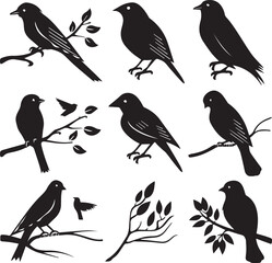 Collection of Black Bird Silhouettes: Vector Design Elements