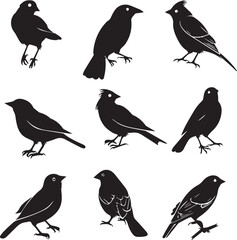 Collection of Black Bird Silhouettes: Vector Design Elements