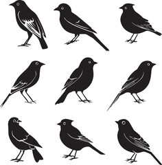Fototapeta premium Collection of Black Bird Silhouettes: Vector Design Elements