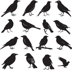 Collection of Black Bird Silhouettes: Vector Design Elements