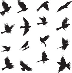 Collection of Black Bird Silhouettes: Vector Design Elements