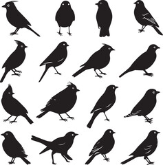Collection of Black Bird Silhouettes: Vector Design Elements