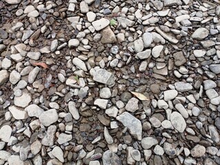 Texture of stone wet river bank. Gray small stones.